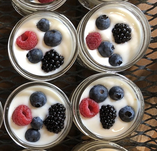 Greek yogurt with granola
